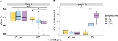 In sickness and in health: the dynamics of the fruit bat gut microbiota under a bacterial antigen challenge and its association with the immune response